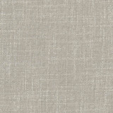 Enthusiasm Metal by Carole Designer Fabric Dove Wing 100% Polyester INDIA None 54" - Swanky Fabrics -