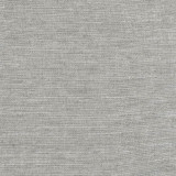 Training Day Slate by Carole Designer Fabric Dove Wing 92% Polyester, 8% Cotton INDIA None 54" - Swanky Fabrics -