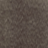 Ahead Of The Game Carbon by Carole Designer Fabric First Class 100% Polyester CHINA None 58" - Swanky Fabrics -