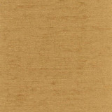 Clean Slate Brown Sugar by Carole Designer Fabric First Class 100% Polyester INDIA None 54" - Swanky Fabrics -