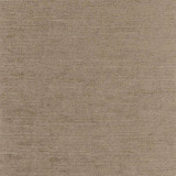 Clean Slate Greystone by Carole Designer Fabric First Class 100% Polyester INDIA None 54" - Swanky Fabrics -