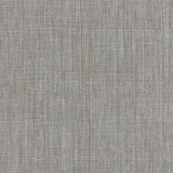 Intention Shale by Carole Designer Fabric Head Start 100% Polyester Taiwan None 54" - Swanky Fabrics -