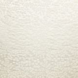 Be Free Vanilla by Carole Designer Fabric In The Details 64% Polyester, 36% Cotton India 15 3/4" V, 14" H 55" - Swanky Fabrics - Be Free Vanilla by Carole Designer Fabric In The Details 64% Polyester, 36% Cotton India 15 3/4" V, 14" H 55" - Swanky Fabrics -