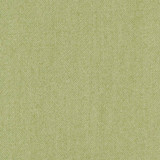Freshman Aloe by Carole Designer Fabric Laguna 100% Polyester INDIA None 54" - Swanky Fabrics - Freshman Aloe by Carole Designer Fabric Laguna 100% Polyester INDIA None 54" - Swanky Fabrics -