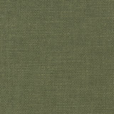 Bessarion Tarragon by Carole Designer Fabric Prominence 71% Polyester, 29% Cotton India None 55" - Swanky Fabrics -