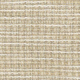 Still Me Ecru by Carole Designer Fabric See It Through 100% Polyester Turkey None 54" - Swanky Fabrics -