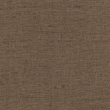 Training Day Brown by Carole Designer Fabric Sunbaked 92% Polyester, 8% Cotton INDIA None 54" - Swanky Fabrics -