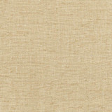 Training Day Sand by Carole Designer Fabric Sunbaked 92% Polyester, 8% Cotton INDIA None 54" - Swanky Fabrics -
