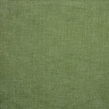 Corato Aloe  by Kasmir Designer Fabric 5187 62% Polyester 38% Cotton  INDIA  </p><p>Repeat: Horizontal: N/A and Vertical:  0 inches 54  - Swanky Fabrics -