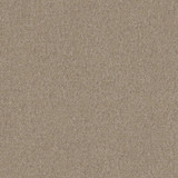 Calabria 440 Funghi by Maxwell Designer Fabric PERFORMANCE VELVETS-VOL.IV 51% ACRYLIC/44% POLYESTER/5% VISCOSE TURKEY 55.9" - Swanky Fabrics - Calabria 440 Funghi by Maxwell Designer Fabric PERFORMANCE VELVETS-VOL.IV 51% ACRYLIC/44% POLYESTER/5% VISCOSE TURKEY 55.9" - Swanky Fabrics -
