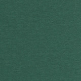 Pintura 820 Jungle by Maxwell Designer Fabric CURLED UP VIII 100% POLYESTER CHINA   55"  - Swanky Fabrics -
