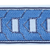Pantheon Cobalt by Europatex Designer Fabric Tapes Decor 100% Polyester 2.00 inches - Swanky Fabrics -