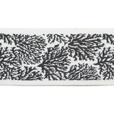 Pergola Coral Tape Black by Europatex Designer Fabric Pergola 100% Solution Dyed Acrylic 3.25 inches - Swanky Fabrics -