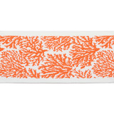 Pergola Coral Tape Coral by Europatex Designer Fabric Pergola 100% Solution Dyed Acrylic 3.25 inches - Swanky Fabrics - Pergola Coral Tape Coral by Europatex Designer Fabric Pergola 100% Solution Dyed Acrylic 3.25 inches - Swanky Fabrics -