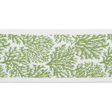 Pergola Coral Tape Lime by Europatex Designer Fabric Pergola 100% Solution Dyed Acrylic 3.25 inches - Swanky Fabrics -