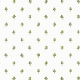 Ashton Green AT57875 by Anna French Wallpaper Anna French Wallpaper Ashton Green AT57875Wallpaper Bristol Non Woven Wallpaper UNITED STATES </p><p>Repeat: V: 8.5 27 - Fabric Carolina - Ashton Green AT57875 by Anna French Wallpaper Anna French Wallpaper Ashton Green AT57875Wallpaper Bristol Non Woven Wallpaper UNITED STATES </p><p>Repeat: V: 8.5 27 - Fabric Carolina -