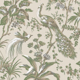 Peacock Toile Green on Natural AT57832 by Anna French Wallpaper Anna French Wallpaper Peacock Toile Green on Natural AT57832Wallpaper Bristol Wallpaper UNITED STATES </p><p>Repeat: V: 36 27 - Fabric Carolina - Peacock Toile Green on Natural AT57832 by Anna French Wallpaper Anna French Wallpaper Peacock Toile Green on Natural AT57832Wallpaper Bristol Wallpaper UNITED STATES </p><p>Repeat: V: 36 27 - Fabric Carolina -