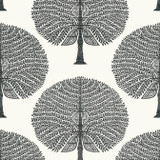 Mulberry Tree Black and White T10602 by Thibaut Wallpaper Thibaut Wallpaper Mulberry Tree Black and White T10602Wallpaper Ceylon Wallpaper UNITED STATES </p><p>Repeat: V: 18 27 - Fabric Carolina - Mulberry Tree Black and White T10602 by Thibaut Wallpaper Thibaut Wallpaper Mulberry Tree Black and White T10602Wallpaper Ceylon Wallpaper UNITED STATES </p><p>Repeat: V: 18 27 - Fabric Carolina -