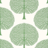 Mulberry Tree Green T10604 by Thibaut Wallpaper Thibaut Wallpaper Mulberry Tree Green T10604Wallpaper Ceylon Wallpaper UNITED STATES </p><p>Repeat: V: 18 27 - Fabric Carolina - Mulberry Tree Green T10604 by Thibaut Wallpaper Thibaut Wallpaper Mulberry Tree Green T10604Wallpaper Ceylon Wallpaper UNITED STATES </p><p>Repeat: V: 18 27 - Fabric Carolina -