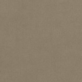 Club Velvet Taupe W7225 by Thibaut Fabric Thibaut Fabric Club Velvet Taupe W7225Fabric Club Velvet 70% Recycled PET Polyester, 30% Virgin Polyester NETHERLANDS </p><p>Repeat: V: - 54 - Fabric Carolina -