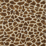 Makena Tobacco T10219 by Thibaut Wallpaper Thibaut Wallpaper Makena Tobacco T10219Wallpaper Colony Wallpaper UNITED STATES </p><p>Repeat: V: 25.25 27 - Fabric Carolina - Makena Tobacco T10219 by Thibaut Wallpaper Thibaut Wallpaper Makena Tobacco T10219Wallpaper Colony Wallpaper UNITED STATES </p><p>Repeat: V: 25.25 27 - Fabric Carolina -