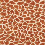 Makena Cinnamon T10221 by Thibaut Wallpaper Thibaut Wallpaper Makena Cinnamon T10221Wallpaper Colony Wallpaper UNITED STATES </p><p>Repeat: V: 25.25 27 - Fabric Carolina - Makena Cinnamon T10221 by Thibaut Wallpaper Thibaut Wallpaper Makena Cinnamon T10221Wallpaper Colony Wallpaper UNITED STATES </p><p>Repeat: V: 25.25 27 - Fabric Carolina -