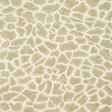 Makena Wheat T10224 by Thibaut Wallpaper Thibaut Wallpaper Makena Wheat T10224Wallpaper Colony Wallpaper UNITED STATES </p><p>Repeat: V: 25.25 27 - Fabric Carolina - Makena Wheat T10224 by Thibaut Wallpaper Thibaut Wallpaper Makena Wheat T10224Wallpaper Colony Wallpaper UNITED STATES </p><p>Repeat: V: 25.25 27 - Fabric Carolina -