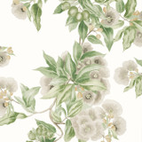 Camellia Garden Spring on White AT24551 by Anna French Wallpaper Anna French Wallpaper Camellia Garden Spring on White AT24551Wallpaper Devon Non Woven Wallpaper UNITED KINGDOM </p><p>Repeat: V: 55.5 27 - Fabric Carolina - Camellia Garden Spring on White AT24551 by Anna French Wallpaper Anna French Wallpaper Camellia Garden Spring on White AT24551Wallpaper Devon Non Woven Wallpaper UNITED KINGDOM </p><p>Repeat: V: 55.5 27 - Fabric Carolina -