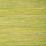 Raffia Palm Apple Green T24070 by Thibaut Wallpaper Thibaut Wallpaper Raffia Palm Apple Green T24070Wallpaper Grasscloth Resource 5 Raffia KOREA </p><p>Repeat: V: - 36 - Fabric Carolina - Raffia Palm Apple Green T24070 by Thibaut Wallpaper Thibaut Wallpaper Raffia Palm Apple Green T24070Wallpaper Grasscloth Resource 5 Raffia KOREA </p><p>Repeat: V: - 36 - Fabric Carolina -