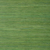 Raffia Palm Emerald Green T24074 by Thibaut Wallpaper Thibaut Wallpaper Raffia Palm Emerald Green T24074Wallpaper Grasscloth Resource 5 Raffia KOREA </p><p>Repeat: V: - 36 - Fabric Carolina - Raffia Palm Emerald Green T24074 by Thibaut Wallpaper Thibaut Wallpaper Raffia Palm Emerald Green T24074Wallpaper Grasscloth Resource 5 Raffia KOREA </p><p>Repeat: V: - 36 - Fabric Carolina -