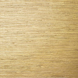 Sutton Metallic Gold T24062 by Thibaut Wallpaper Thibaut Wallpaper Sutton Metallic Gold T24062Wallpaper Grasscloth Resource 5 Grasscloth Printed KOREA </p><p>Repeat: V: - 36 - Fabric Carolina - Sutton Metallic Gold T24062 by Thibaut Wallpaper Thibaut Wallpaper Sutton Metallic Gold T24062Wallpaper Grasscloth Resource 5 Grasscloth Printed KOREA </p><p>Repeat: V: - 36 - Fabric Carolina -
