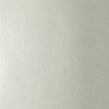 Yuma Metallic Silver T85067 by Thibaut Wallpaper Thibaut Wallpaper Yuma Metallic Silver T85067Wallpaper Greenwood Wallpaper U.S.A. </p><p>Repeat: V: 25.25 27 - Fabric Carolina - Yuma Metallic Silver T85067 by Thibaut Wallpaper Thibaut Wallpaper Yuma Metallic Silver T85067Wallpaper Greenwood Wallpaper U.S.A. </p><p>Repeat: V: 25.25 27 - Fabric Carolina -
