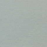 Amali Shadow W80256 by Thibaut Fabric Thibaut Fabric Amali Shadow W80256Fabric Kaleidoscope 92% Poly,8% Linen-knit backing U.S.A. </p><p>Repeat: V: - 54 - Fabric Carolina - Amali Shadow W80256 by Thibaut Fabric Thibaut Fabric Amali Shadow W80256Fabric Kaleidoscope 92% Poly,8% Linen-knit backing U.S.A. </p><p>Repeat: V: - 54 - Fabric Carolina -