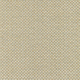 Palmetto Aqua W80231 by Thibaut Fabric Thibaut Fabric Palmetto Aqua W80231Fabric Kaleidoscope 37%Poly35%Ray27%Cot1%Nyl-acr b U.S.A. </p><p>Repeat: V: - 54 - Fabric Carolina - Palmetto Aqua W80231 by Thibaut Fabric Thibaut Fabric Palmetto Aqua W80231Fabric Kaleidoscope 37%Poly35%Ray27%Cot1%Nyl-acr b U.S.A. </p><p>Repeat: V: - 54 - Fabric Carolina -