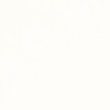 Joliette Natural FWW81725 by Thibaut Fabric Thibaut Fabric Joliette Natural FWW81725Fabric Locale Wide Width 100% Solution Dyed Acrylic TURKEY </p><p>Repeat: V: - 117 - Fabric Carolina - Joliette Natural FWW81725 by Thibaut Fabric Thibaut Fabric Joliette Natural FWW81725Fabric Locale Wide Width 100% Solution Dyed Acrylic TURKEY </p><p>Repeat: V: - 117 - Fabric Carolina -
