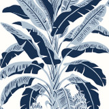 Banana Tree Navy T13915 by Thibaut Wallpaper Thibaut Wallpaper Banana Tree Navy T13915Wallpaper Palm Grove Wallpaper U.S.A. </p><p>Repeat: V: 36 27 - Fabric Carolina -