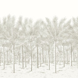Palm Grove Mural - 5 Panel Full Set Beige TM13948 by Thibaut Wallpaper Thibaut Wallpaper Palm Grove Mural - 5 Panel Full Set Beige TM13948Wallpaper Palm Grove Non Woven Wallpaper 5 Panel Full Set U.S.A. </p><p>Repeat: V: 0 135 - Fabric Carolina - Palm Grove Mural - 5 Panel Full Set Beige TM13948 by Thibaut Wallpaper Thibaut Wallpaper Palm Grove Mural - 5 Panel Full Set Beige TM13948Wallpaper Palm Grove Non Woven Wallpaper 5 Panel Full Set U.S.A. </p><p>Repeat: V: 0 135 - Fabric Carolina -