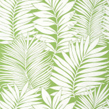 Siesta Key Green T13927 by Thibaut Wallpaper Thibaut Wallpaper Siesta Key Green T13927Wallpaper Palm Grove Paperweave U.S.A. </p><p>Repeat: V: 25.25 27 - Fabric Carolina - Siesta Key Green T13927 by Thibaut Wallpaper Thibaut Wallpaper Siesta Key Green T13927Wallpaper Palm Grove Paperweave U.S.A. </p><p>Repeat: V: 25.25 27 - Fabric Carolina -