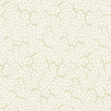 Maldives Cream T42059 by Thibaut Wallpaper Thibaut Wallpaper Maldives Cream T42059Wallpaper Sojourn Non Woven Wallpaper UNITED STATES </p><p>Repeat: V: 25.25 27 - Fabric Carolina - Maldives Cream T42059 by Thibaut Wallpaper Thibaut Wallpaper Maldives Cream T42059Wallpaper Sojourn Non Woven Wallpaper UNITED STATES </p><p>Repeat: V: 25.25 27 - Fabric Carolina -
