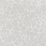 Amato Grey T4015 by Thibaut Wallpaper Thibaut Wallpaper Amato Grey T4015Wallpaper Surface Resource Non Woven Wallpaper U.S.A. </p><p>Repeat: V: 25.25 27 - Fabric Carolina -