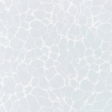 Amato Soft Blue T4016 by Thibaut Wallpaper Thibaut Wallpaper Amato Soft Blue T4016Wallpaper Surface Resource Non Woven Wallpaper U.S.A. </p><p>Repeat: V: 25.25 27 - Fabric Carolina - Amato Soft Blue T4016 by Thibaut Wallpaper Thibaut Wallpaper Amato Soft Blue T4016Wallpaper Surface Resource Non Woven Wallpaper U.S.A. </p><p>Repeat: V: 25.25 27 - Fabric Carolina -