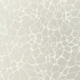 Amato Metallic Pewter T4017 by Thibaut Wallpaper Thibaut Wallpaper Amato Metallic Pewter T4017Wallpaper Surface Resource Non Woven Wallpaper U.S.A. </p><p>Repeat: V: 25.25 27 - Fabric Carolina - Amato Metallic Pewter T4017 by Thibaut Wallpaper Thibaut Wallpaper Amato Metallic Pewter T4017Wallpaper Surface Resource Non Woven Wallpaper U.S.A. </p><p>Repeat: V: 25.25 27 - Fabric Carolina -