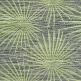 Palm Frond Black and Green T10143 by Thibaut Wallpaper Thibaut Wallpaper Palm Frond Black and Green T10143Wallpaper Tropics Non-Woven Vinyl Wallpaper U.S.A. </p><p>Repeat: V: 20.5 27 - Fabric Carolina - Palm Frond Black and Green T10143 by Thibaut Wallpaper Thibaut Wallpaper Palm Frond Black and Green T10143Wallpaper Tropics Non-Woven Vinyl Wallpaper U.S.A. </p><p>Repeat: V: 20.5 27 - Fabric Carolina -