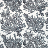 Marine Coral Black F910123 by Thibaut Fabric Thibaut Fabric Marine Coral Black F910123Fabric Tropics Fabric Book 90% Cotton, 10% Linen U.S.A. </p><p>Repeat: V: 25.25 54 - Fabric Carolina - Marine Coral Black F910123 by Thibaut Fabric Thibaut Fabric Marine Coral Black F910123Fabric Tropics Fabric Book 90% Cotton, 10% Linen U.S.A. </p><p>Repeat: V: 25.25 54 - Fabric Carolina -