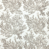 Marine Coral Beige F910140 by Thibaut Fabric Thibaut Fabric Marine Coral Beige F910140Fabric Tropics Fabric Book 90% Cotton, 10% Linen U.S.A. </p><p>Repeat: V: 25.25 54 - Fabric Carolina - Marine Coral Beige F910140 by Thibaut Fabric Thibaut Fabric Marine Coral Beige F910140Fabric Tropics Fabric Book 90% Cotton, 10% Linen U.S.A. </p><p>Repeat: V: 25.25 54 - Fabric Carolina -