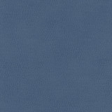 Top Grain-Nj 843 Sea Bed by Maxwell Designer Fabric MEMOS ONLY-COATED FABRICS FACE: 100% SILICONE KOREA 54" - Swanky Fabrics - Top Grain-Nj 843 Sea Bed by Maxwell Designer Fabric MEMOS ONLY-COATED FABRICS FACE: 100% SILICONE KOREA 54" - Swanky Fabrics -