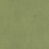 Top Grain-Nj 857 Celery by Maxwell Designer Fabric MEMOS ONLY-COATED FABRICS FACE: 100% SILICONE KOREA   54"  - Swanky Fabrics - Top Grain-Nj 857 Celery by Maxwell Designer Fabric MEMOS ONLY-COATED FABRICS FACE: 100% SILICONE KOREA   54"  - Swanky Fabrics -