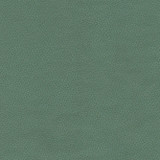 Top Grain-Nj 859 Spruce by Maxwell Designer Fabric MEMOS ONLY-COATED FABRICS FACE: 100% SILICONE KOREA 54" - Swanky Fabrics - Top Grain-Nj 859 Spruce by Maxwell Designer Fabric MEMOS ONLY-COATED FABRICS FACE: 100% SILICONE KOREA 54" - Swanky Fabrics -