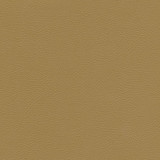 Catalyst-Nj 517 Caramel by Maxwell Designer Fabric MEMOS ONLY-COATED FABRICS FACE: 100% SILICONE KOREA 54" - Swanky Fabrics - Catalyst-Nj 517 Caramel by Maxwell Designer Fabric MEMOS ONLY-COATED FABRICS FACE: 100% SILICONE KOREA 54" - Swanky Fabrics -