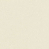 Catalyst-Nj 519 Fluff by Maxwell Designer Fabric MEMOS ONLY-COATED FABRICS FACE: 100% SILICONE KOREA 54" - Swanky Fabrics - Catalyst-Nj 519 Fluff by Maxwell Designer Fabric MEMOS ONLY-COATED FABRICS FACE: 100% SILICONE KOREA 54" - Swanky Fabrics -